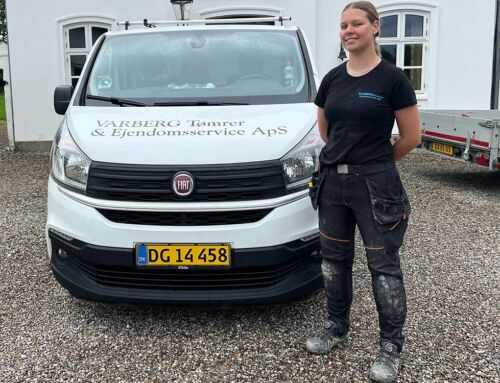 Horsens tømrerlærling konkurrerer i Verdens Vildeste Brobyggere